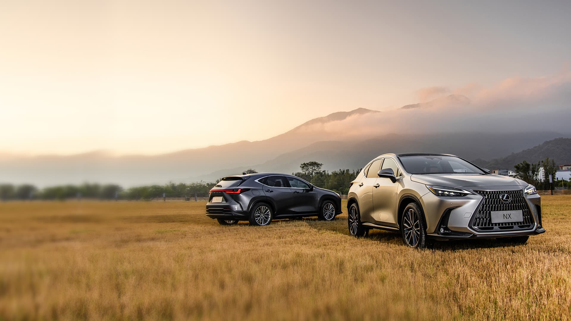 Silver Lexus NX and dark grey Lexus NX parked in a field.